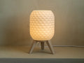 LumixyLab Vintage Lamp