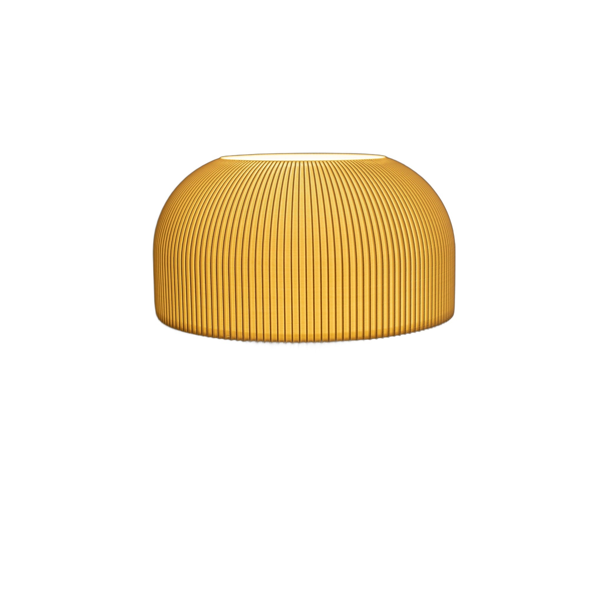 Super Mushroom white background
